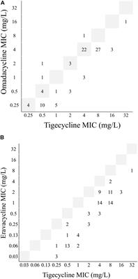 AdeABC Efflux Pump Controlled by AdeRS Two Component System Conferring Resistance to Tigecycline, Omadacycline and Eravacycline in Clinical Carbapenem Resistant Acinetobacter nosocomialis